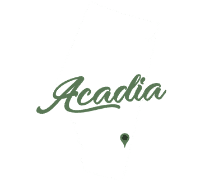 Car Accident Injury Attorney Acadia