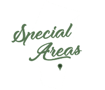 Long Term Disability Attorney Special Areas