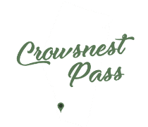 Spinal Injury Attorney Crowsnest Pass