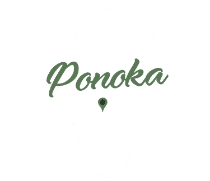Accident Benefits Attorney Ponoka 7